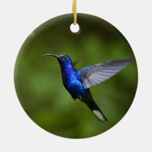 HUMMINGBIRD ORNAMENT (Achterkant)