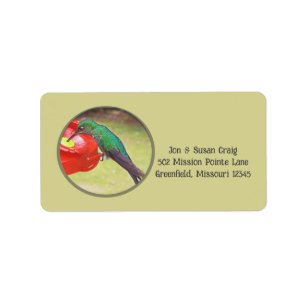 HUMMINGBIRD ( PAARSE BROEIING ) OP HET GEBIED VAN  ETIKET