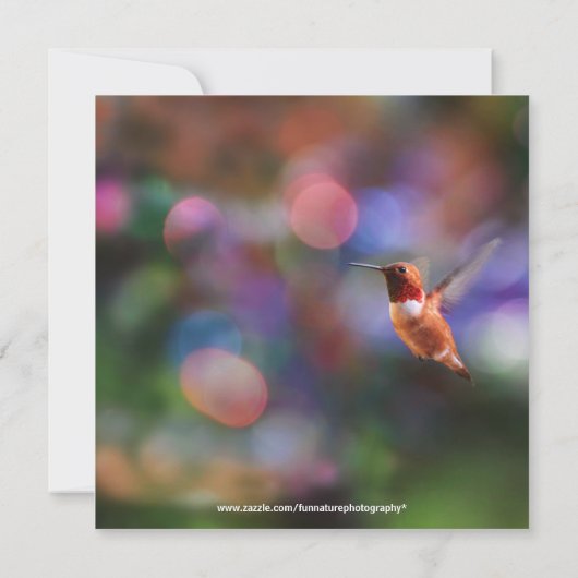 Hummingbird Party Invitations Kaart (Achterkant)
