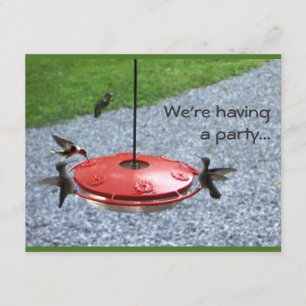 Hummingbird party-uitnodiging kaart