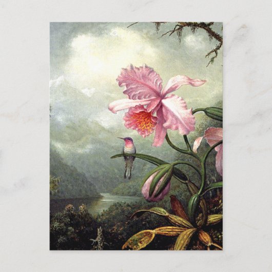 Hummingbird Perched, fine art, Briefkaart (Voorkant)