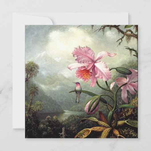 Hummingbird Perched, mooie kunst, Kaart (Voorkant)