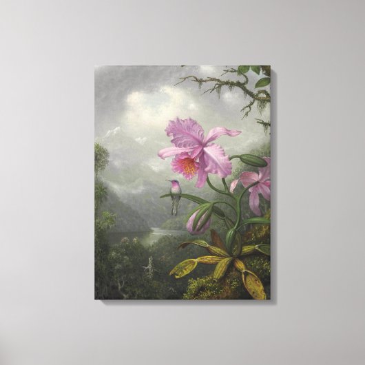 Hummingbird Perched on an Orchid Plant by MJ Heade Canvas Afdruk (Voorkant)