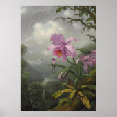 Hummingbird Perched on an Orchid Plant by MJ Heade Poster (Voorkant)