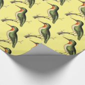 Hummingbird Perched Thunder_Cove Cadeaupapier (Hoek)