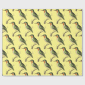 Hummingbird Perched Thunder_Cove Cadeaupapier (Vlak)