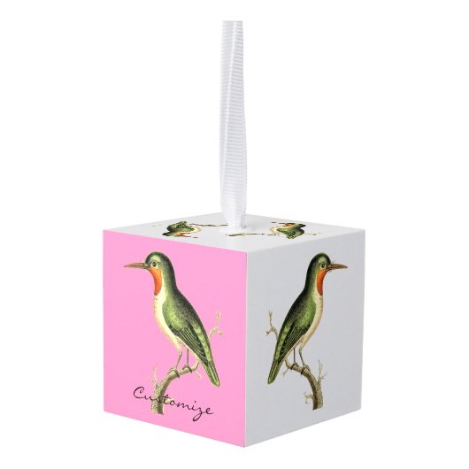 Hummingbird Perched Thunder_Cove Decoratie (Achter hoekig)