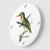 Hummingbird Perched Thunder_Cove Grote Klok (Hoek)