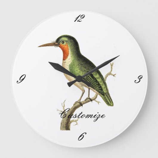 Hummingbird Perched Thunder_Cove Grote Klok (Voorkant)