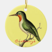 Hummingbird Perched Thunder_Cove Keramisch Ornament (Voorkant)