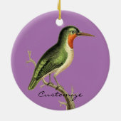 Hummingbird Perched Thunder_Cove Keramisch Ornament (Achterkant)