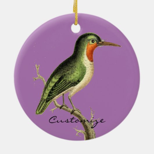 Hummingbird Perched Thunder_Cove Keramisch Ornament (Achterkant)