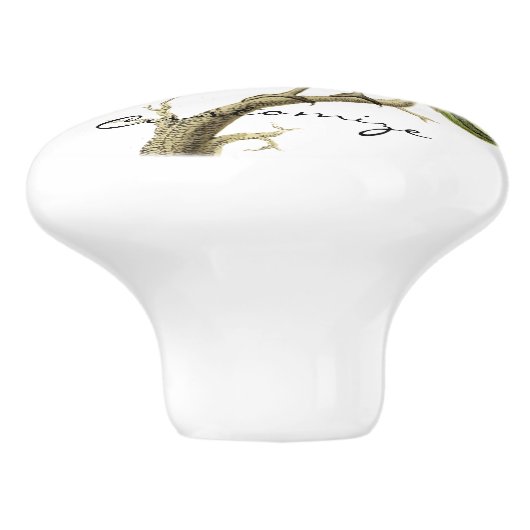 Hummingbird Perched Thunder_Cove Keramische Knop (Zijkant)