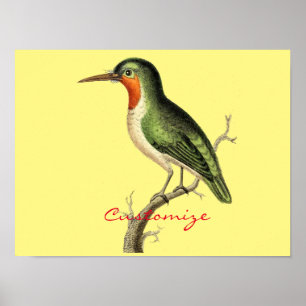 Hummingbird Perched Thunder_Cove Poster
