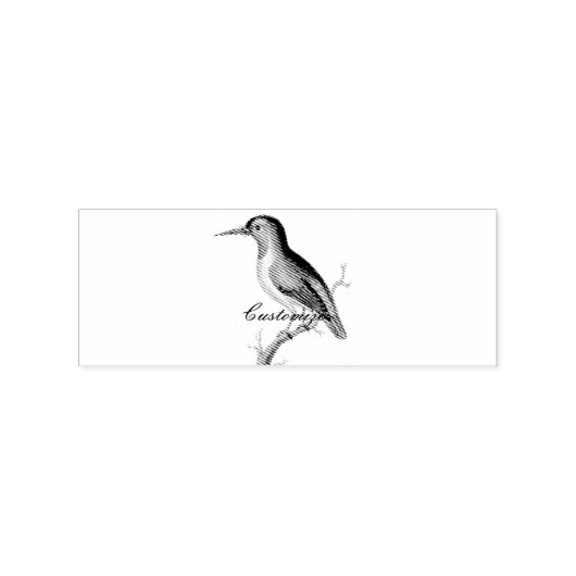 Hummingbird Perched Thunder_Cove Rubberstempel (Afrduk)