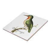 Hummingbird Perched Thunder_Cove Tegeltje (Zijkant)