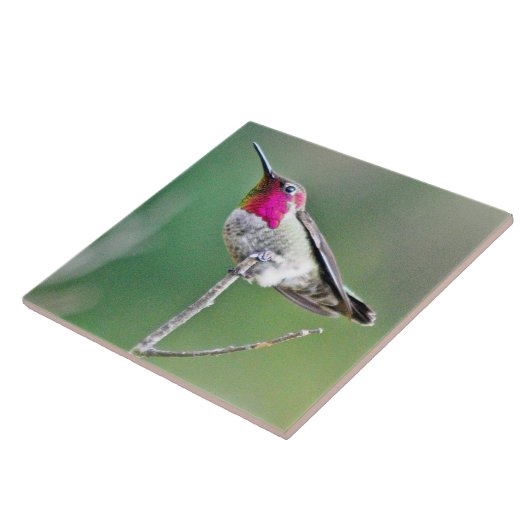 Hummingbird perst tegeltje (Zijkant)