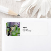 Hummingbird Pink Floral Wildlife Foto Etiket (Insitu)