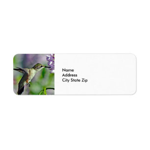 Hummingbird Pink Floral Wildlife Foto Etiket