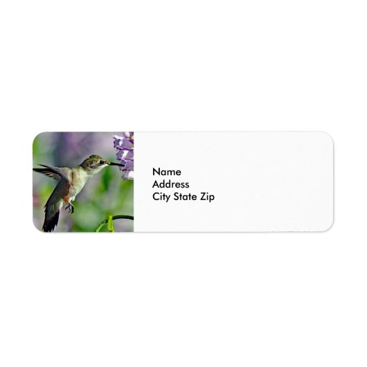 Hummingbird Pink Floral Wildlife Foto Etiket (Voorkant)
