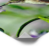 Hummingbird Pink Floral Wildlife Foto Poster (Hoek)