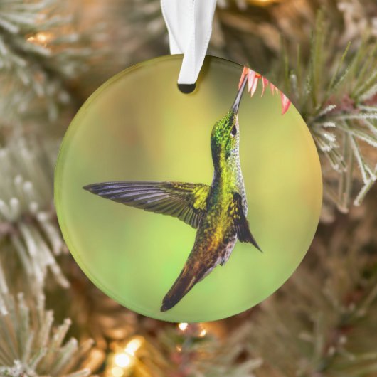 Hummingbird Pink Flower Bird Ornament (Boom)