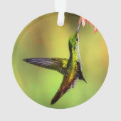 Hummingbird Pink Flower Bird Ornament (achterkant)
