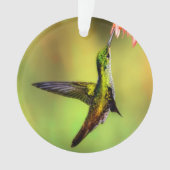 Hummingbird Pink Flower Bird Ornament (voorkant)