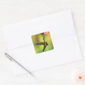Hummingbird Pink Flower Bird Vierkante Sticker (Envelop)