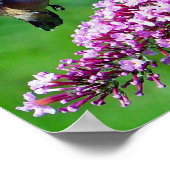 Hummingbird Pink Flowers Wildlife Foto Poster (Hoek)