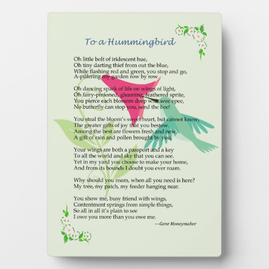 Hummingbird Plaque Fotoplaat (voorkant)
