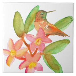 Hummingbird Plumeria Waterverf Flowers Tegeltje