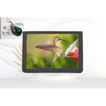 Hummingbird Portemonnee Design #108A0605