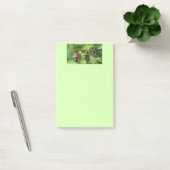 Hummingbird post aantekeningen post-it® notes (Kantoor)