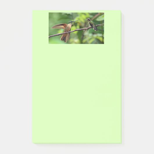 Hummingbird post aantekeningen post-it® notes (Voorkant)