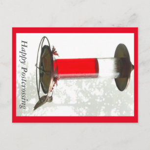 Hummingbird Postcrossong Briefkaart