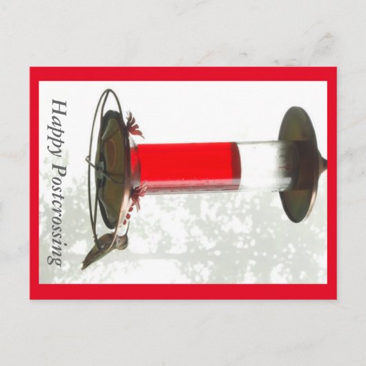 Hummingbird Postcrossong Briefkaart (Voorkant)