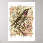  Hummingbird Poster (Voorkant)