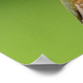 Hummingbird Prayer is naar de sol Poster (Hoek)