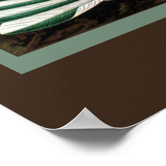 Hummingbird Print (Hoek)