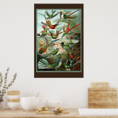 Hummingbird Print (Keuken)