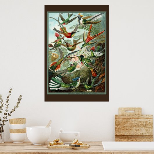 Hummingbird Print (Keuken)