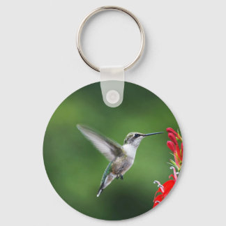HUMMINGBIRD PRODUCTEN SLEUTELHANGER