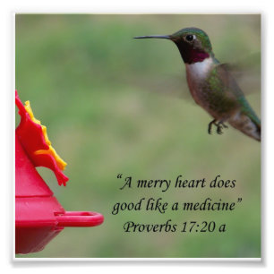 Hummingbird Proverbs 17:20 Bijbelverse foto Afdruk