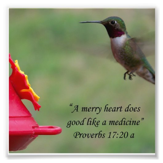 Hummingbird Proverbs 17:20 Bijbelverse foto Afdruk (Voorkant)
