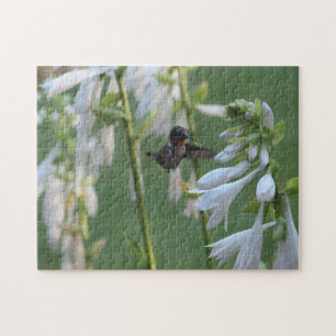 Hummingbird Puzzle Legpuzzel