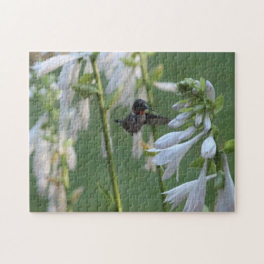 Hummingbird Puzzle Legpuzzel (Horizontaal)