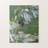 Hummingbird Puzzle Legpuzzel (Verticaal)