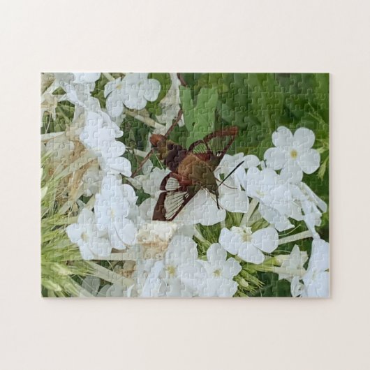 Hummingbird Puzzle Legpuzzel (Horizontaal)