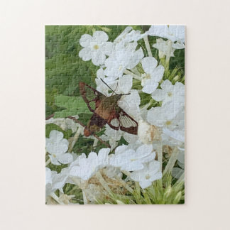 Hummingbird Puzzle Legpuzzel